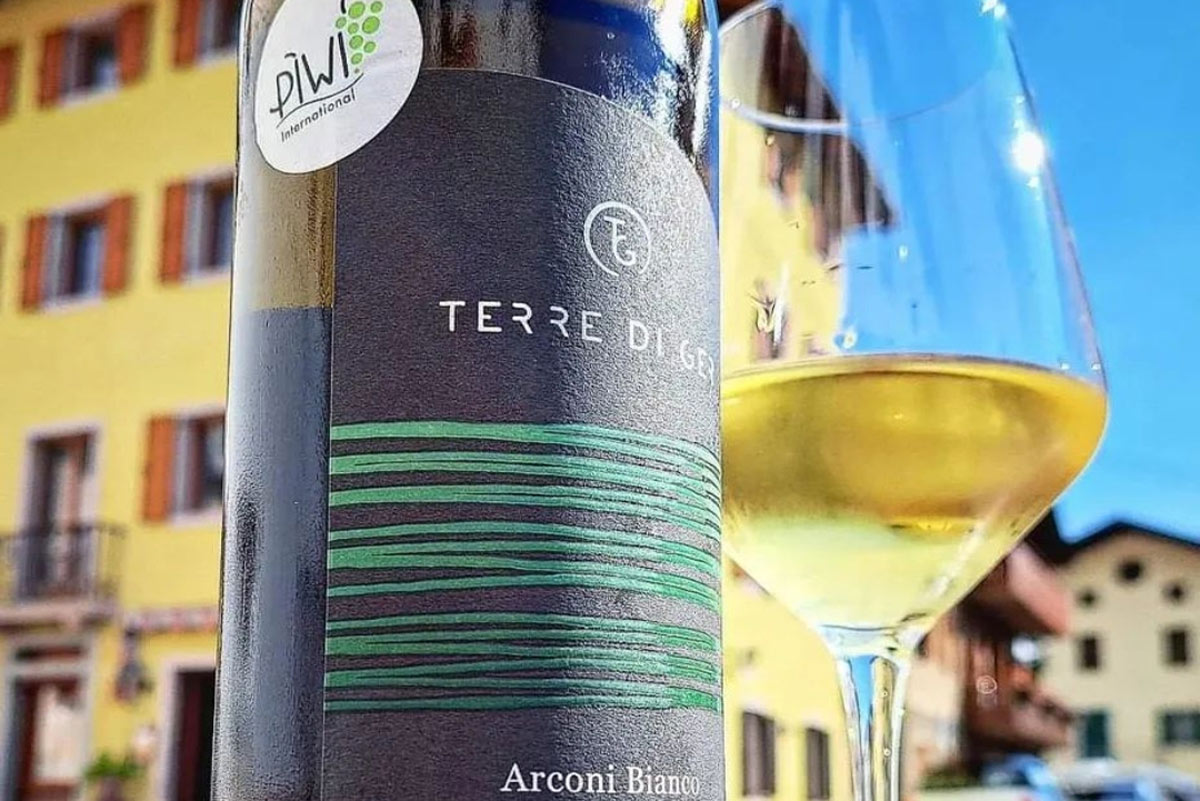 Arconi Bianco, a reistant and sublime Sauvignon Kretos